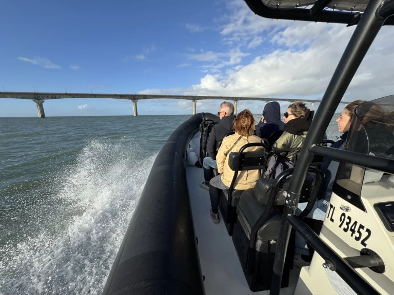 Vermietung Schlauchboot Narwhal mit Führerschein