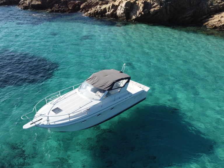 Motorboot mieten in Palau - Monchi craft Sedan 