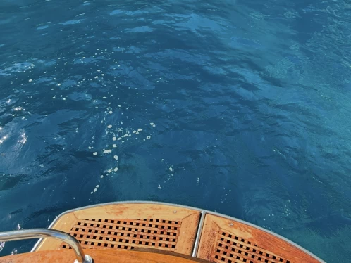 Ein Apreamare Apreamare 7,5 mieten in Sorrent