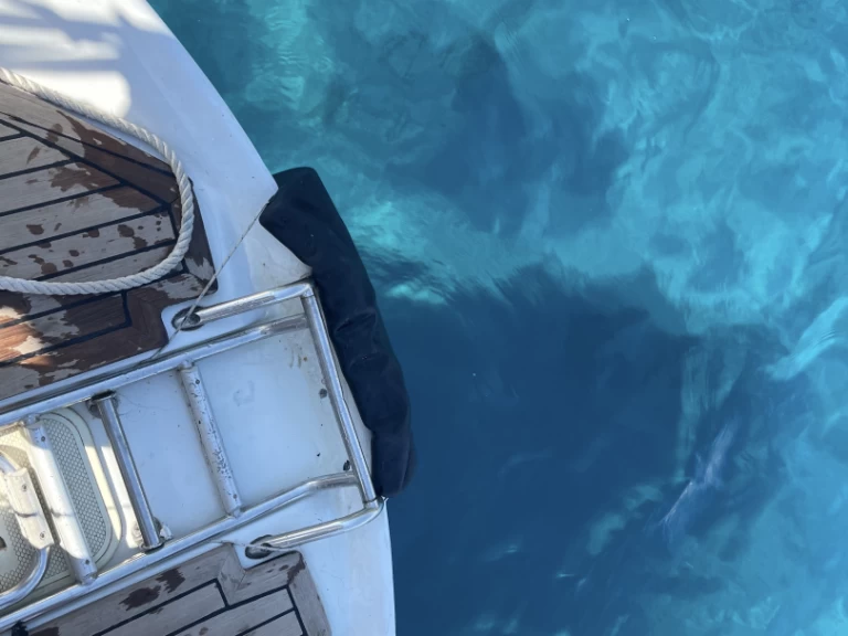 Ein Comar comet 11 plus mieten in Menton