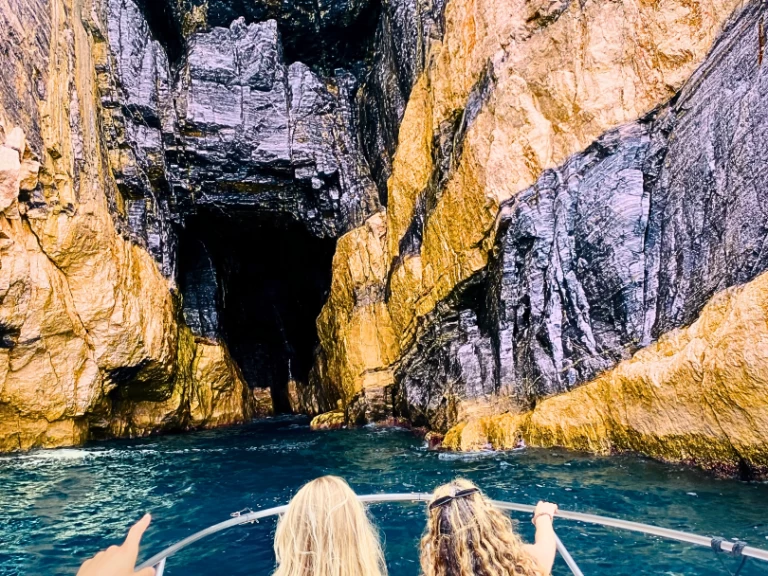 YachtCharter in La Spezia - Boston Whaler Boston Whaler 220 Dauntless auf SamBoat