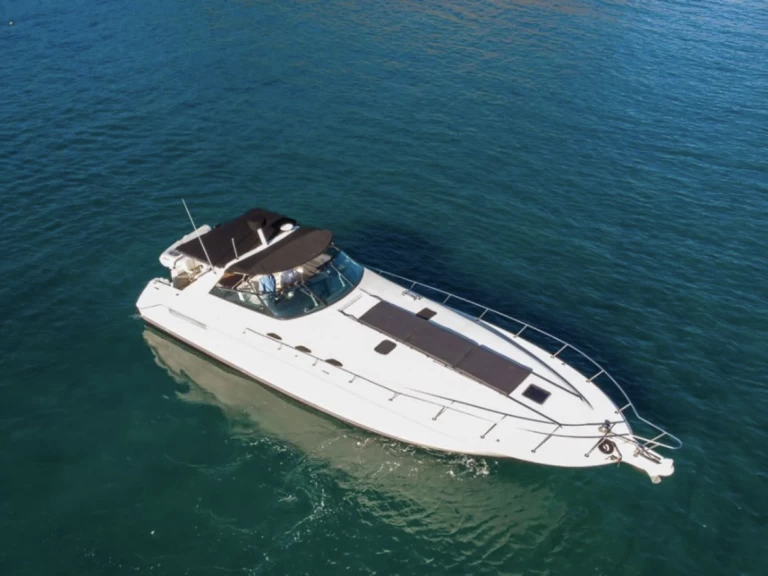 YachtCharter in Marina Papagayo - Sea Ray Sea Ray 50 auf SamBoat