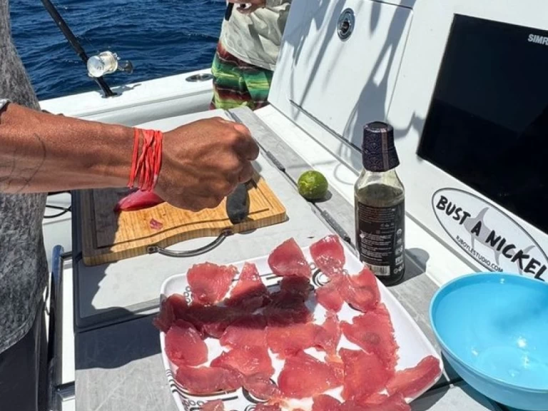 Bootsverleih Freeman Freeman 47FT Flamingo Samboat