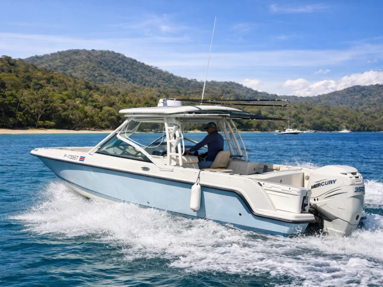 Boot mieten Coco Bay günstig Boston 24 FT