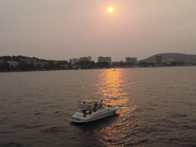 YachtCharter in Palma de Mallorca - Sea Ray Sea Ray 240 Sundeck auf SamBoat