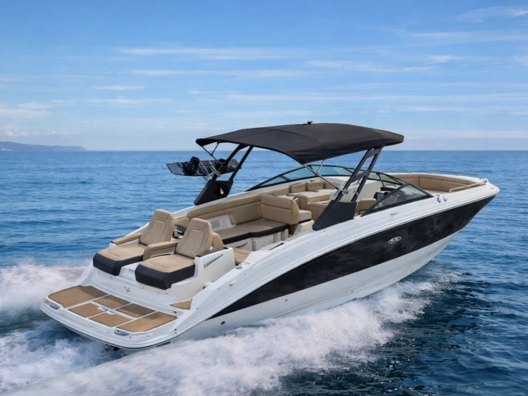 Vermietung Motorboot Sea Ray mit Führerschein