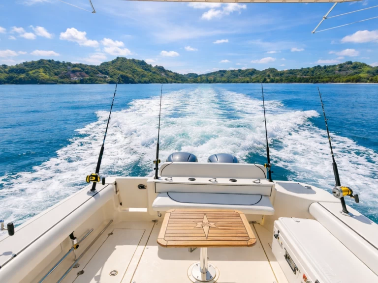 Ein Robalo Robalo 31 FT mieten in Bahía Culebra