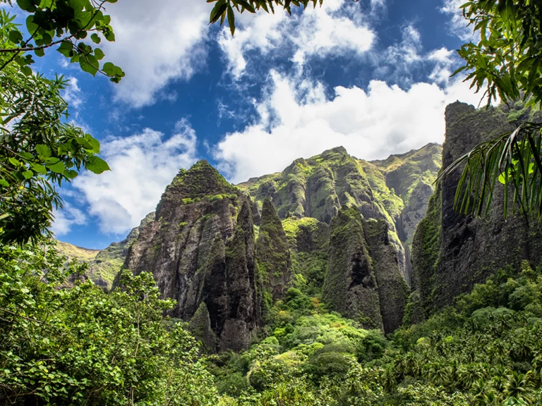 Bootsverleih Alubat Ovni 43 La Paz Samboat