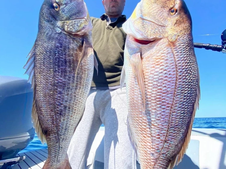 Motorboot mit oder ohne Skipper Saver 33 mieten in Marina di Portisco