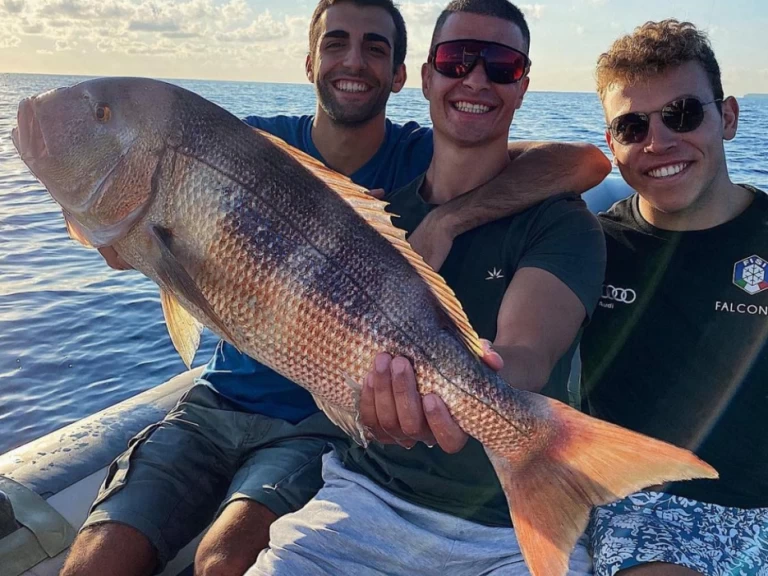 Vermietung Motorboot Saver 33 mit Führerschein