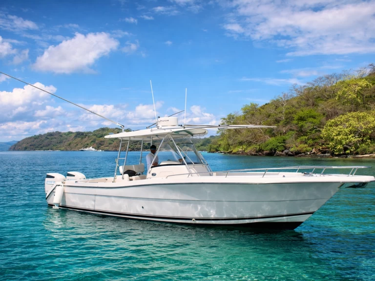 Pursuit Pursuit 32 mieten Coco Bay