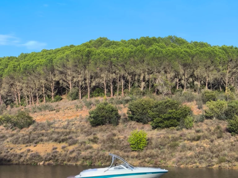 Boot mieten Ferragudo günstig SSV 215