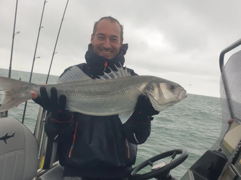 YachtCharter in Dunkerque - Sillinger Silverline 650 auf SamBoat