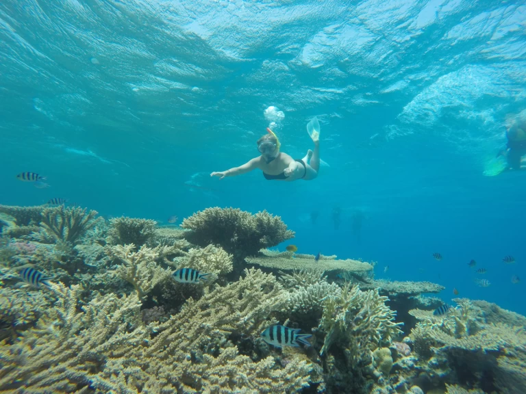 Ein  Custom Built  444 mieten in Sharm el Sheikh