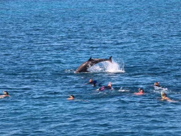 Vermietung Yacht  mit Führerschein