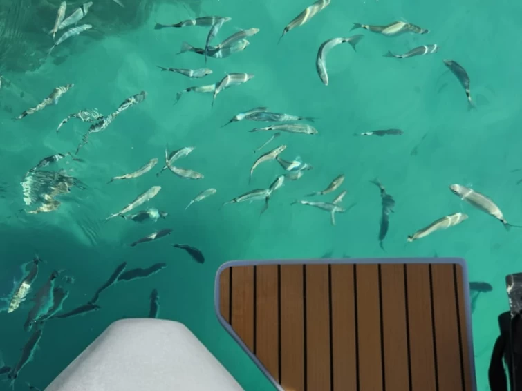 Vermietung Schlauchboot Sacs mit Führerschein