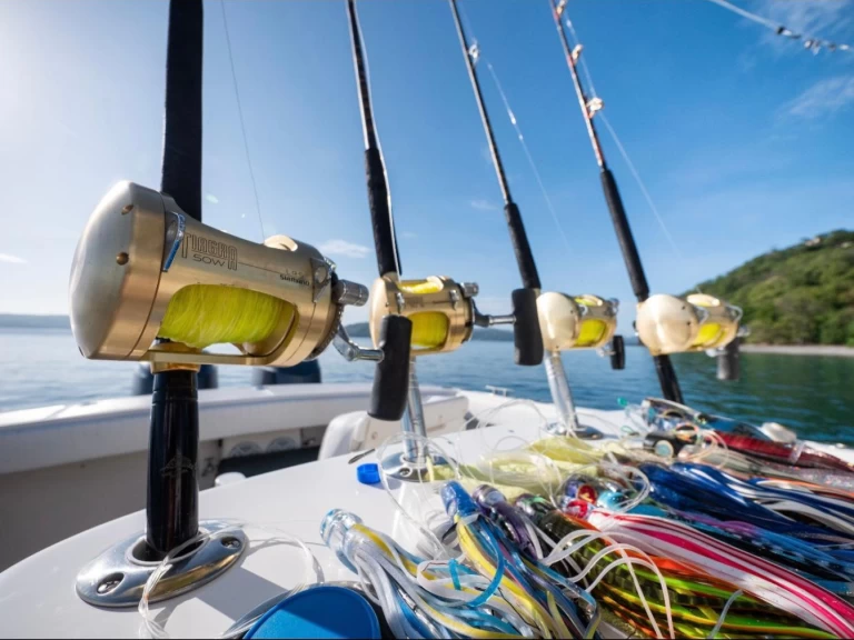 Motorboot mieten in Coco Bay zum besten Preis