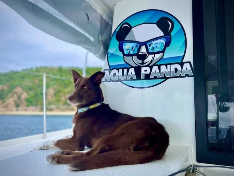 Katamaran mieten in Kingstown - Fountaine Pajot Lucia 40