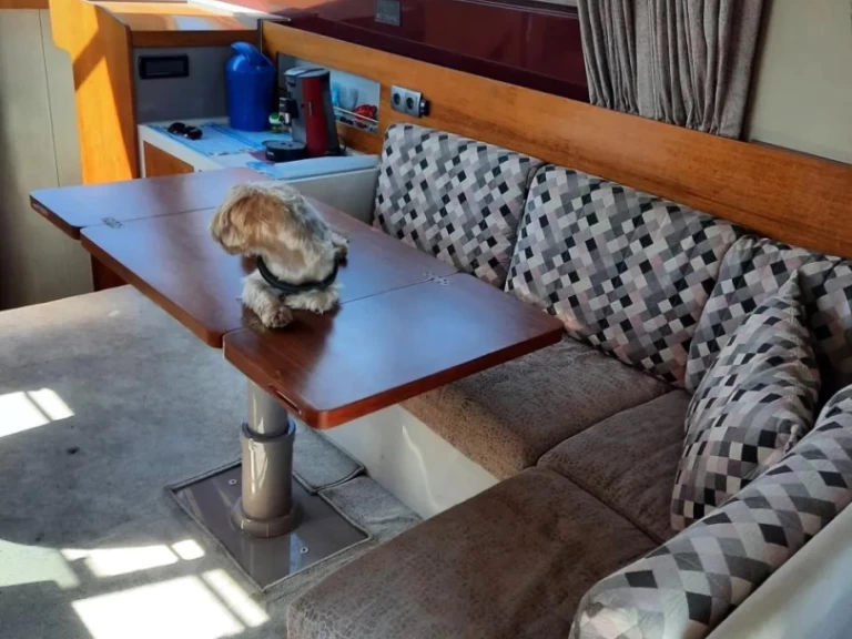 Motorboot mieten in Pula - Riva rivarama 44