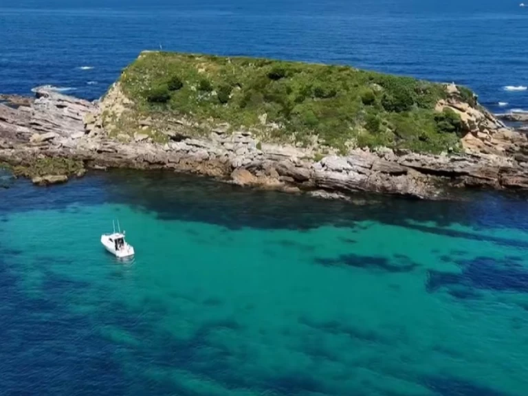 Boot mieten Hondarribia günstig 760 walk around