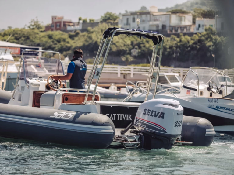 Schlauchboot mit oder ohne Skipper Sacs mieten in Forio