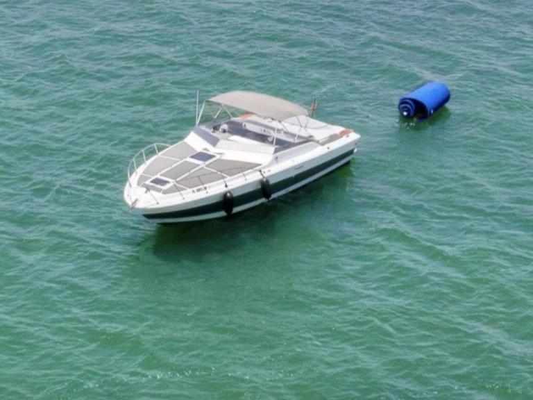 Sirena 42  mieten Miami Beach