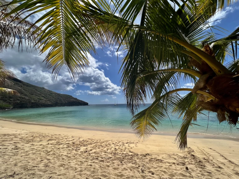 Vermietung Segelboot Pogo Structures mit Führerschein