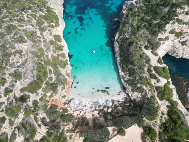 Protender Xs 470 mieten Cala Figuera