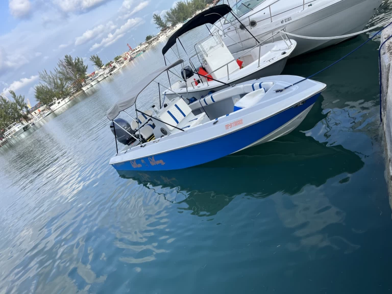Motorboot mit oder ohne Skipper Custom Made mieten in Nassau