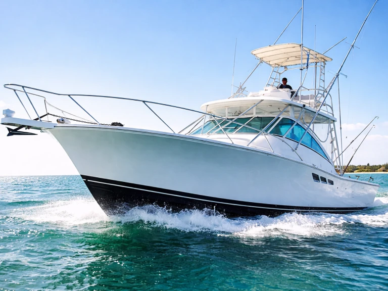 Boot mieten Bávaro günstig custom