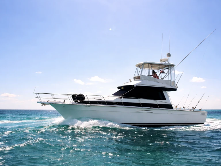 Bootsverleih Custom Custom Bávaro Samboat