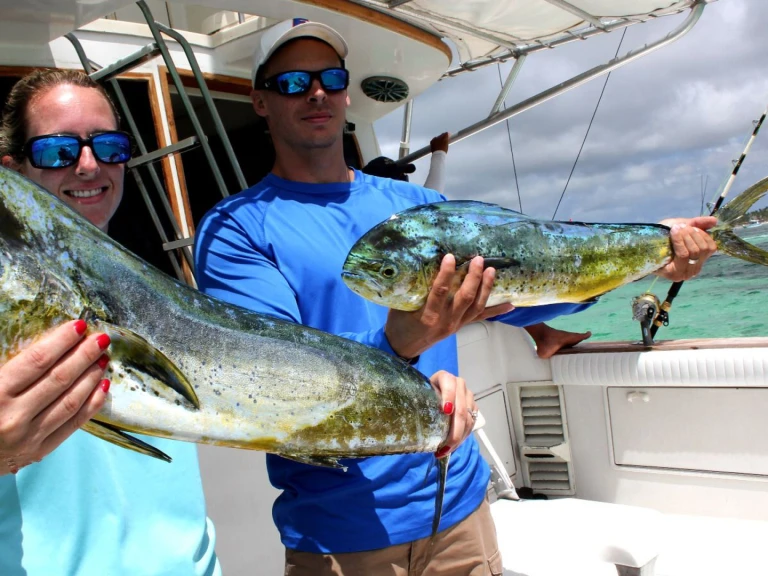 Motorboot mit oder ohne Skipper Custom mieten in Bávaro