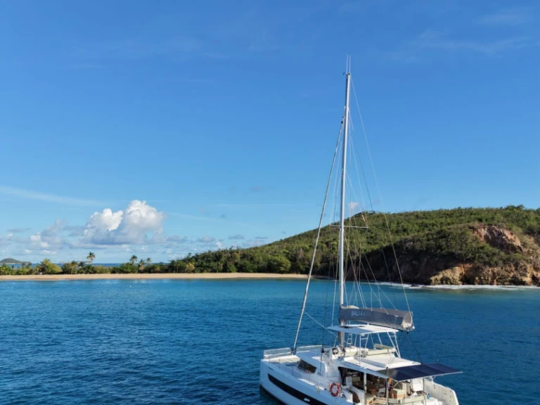 Katamaran mieten in Le Marin - Bali Bali 4.6