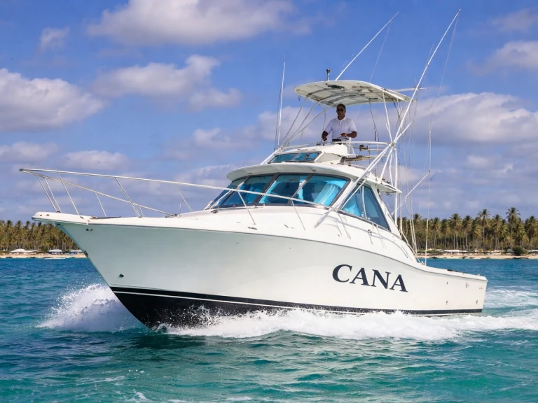 Boot mieten Bávaro günstig custom