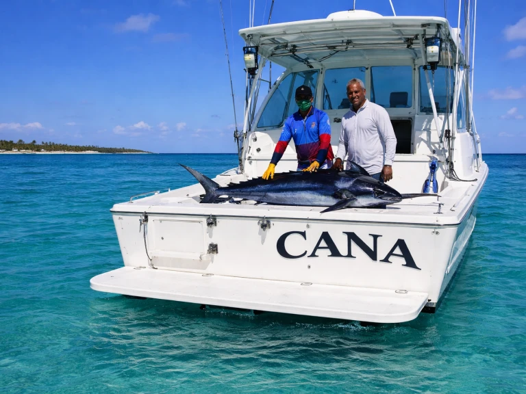 Motorboot mit oder ohne Skipper Custom Made mieten in Bávaro