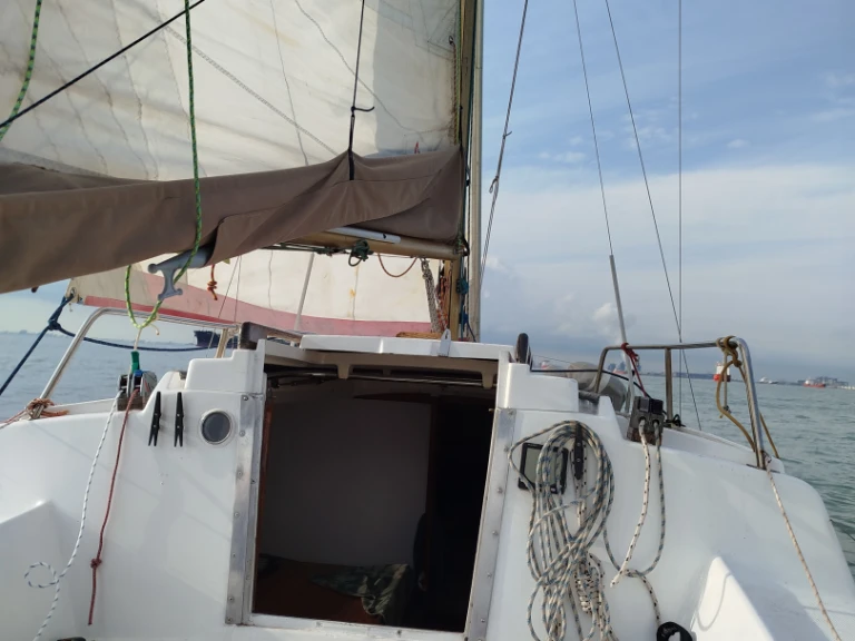 Boot mieten Port-Saint-Louis-du-Rhône günstig Edel 4