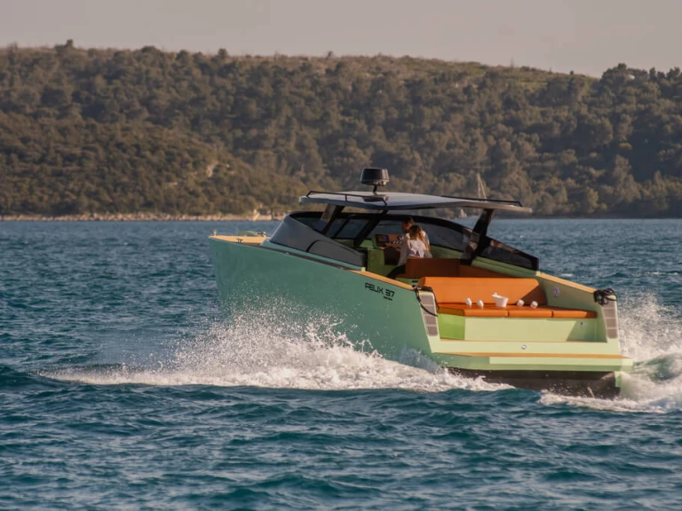 Vermietung Motorboot Felix mit Führerschein