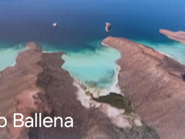 YachtCharter in La Paz - Alubat Ovni 43 auf SamBoat