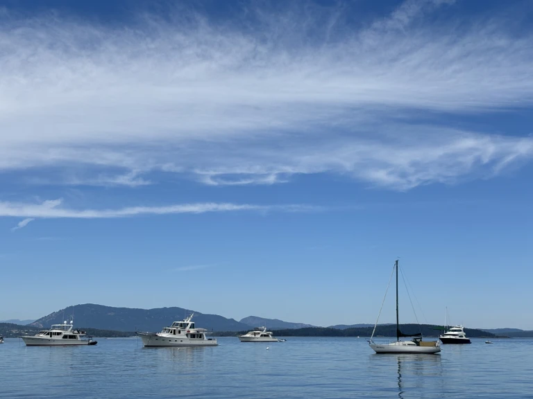 Segelboot mit oder ohne Skipper Albin mieten in Sidney