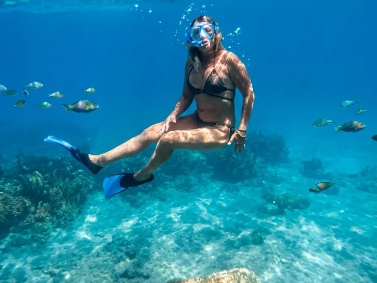 YachtCharter in Mandelieu-la-Napoule - Galeon Galeon 420 Fly auf SamBoat