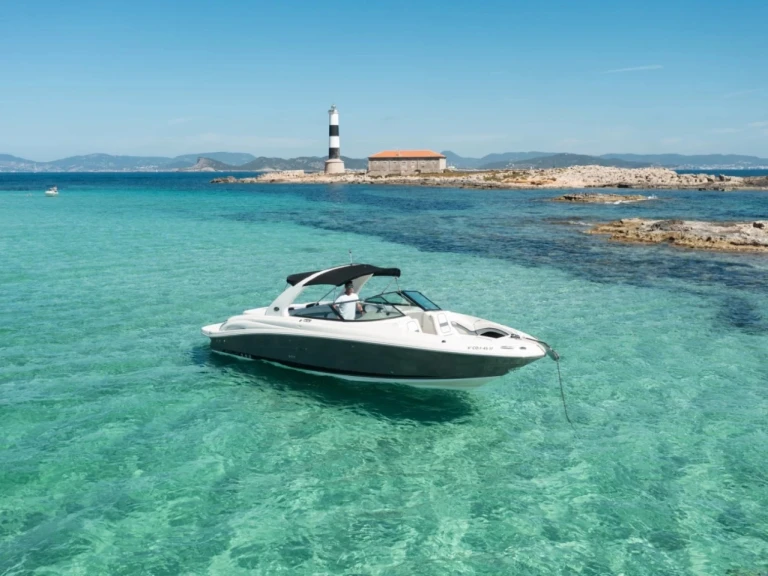 Vermietung Motorboot Sea Ray mit Führerschein