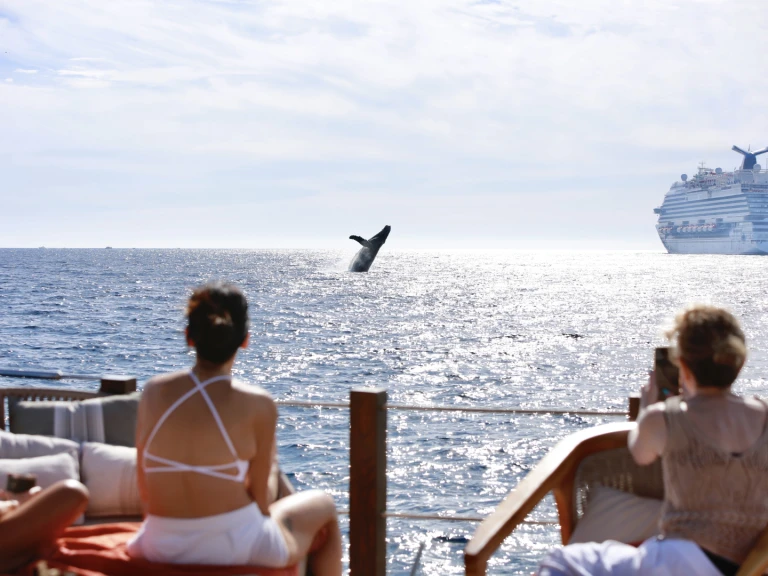 Bootsverleih Custom Made 36 Cabo San Lucas Samboat