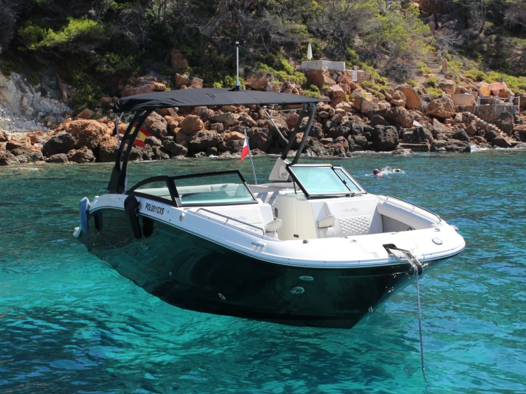 YachtCharter in Spanien - Sea Ray SDX 290 auf SamBoat