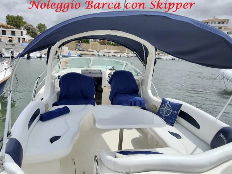 Sea Ray Sea Ray 260 Sundancer mieten Santa Marinella