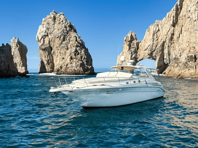 Custom Made custom mieten Cabo San Lucas