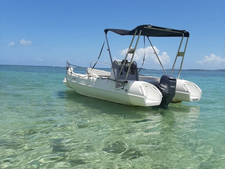 Motorboot mit oder ohne Skipper Whaly mieten in Le François