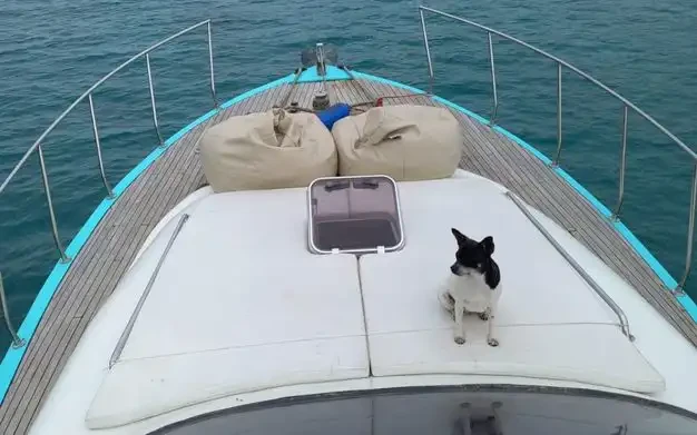 Custom Made mieten Antalya (City)