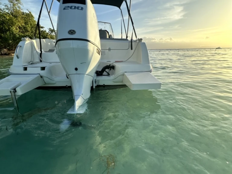 Motorboot mieten in Le Gosier - Pacific Craft Pacific Craft 670 Open