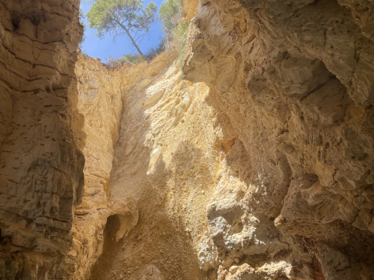 Boot mieten Vieste günstig Sermoneta 29'
