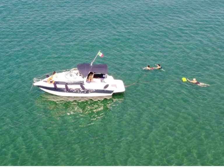 YachtCharter in Santa Marinella - Sea Ray Sea Ray 240 auf SamBoat